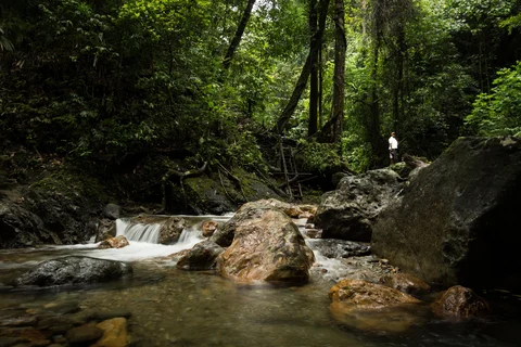 Aer di hutan (foto: Maurice Weststrate)